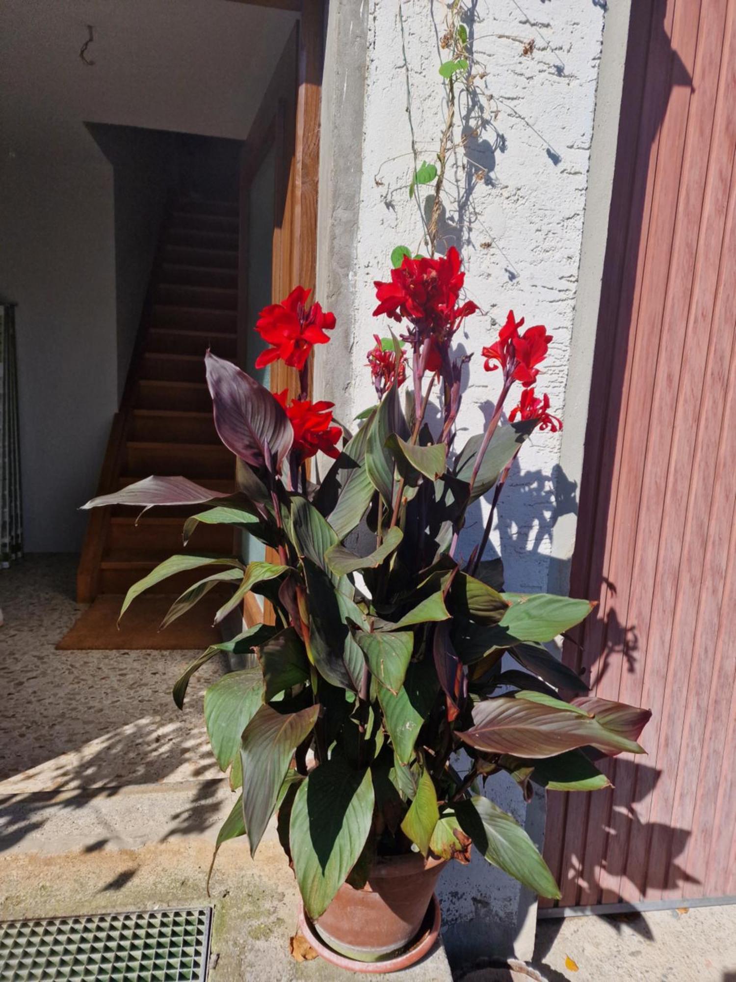 Der Perfekte Ausgangspunkt Apartamento Weiler-Simmerberg Exterior foto