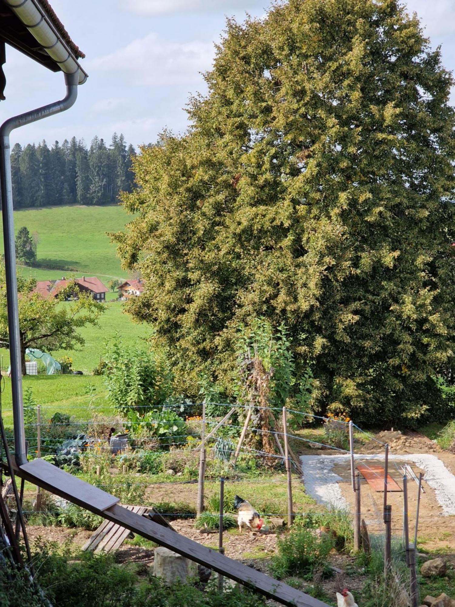 Der Perfekte Ausgangspunkt Apartamento Weiler-Simmerberg Exterior foto